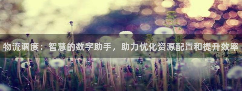 28圈網(wǎng)賭案件