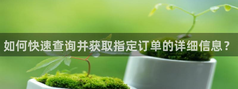 28圈預測加拿大師準