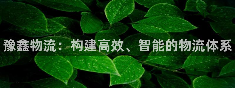28圈登錄用戶名登錄不上