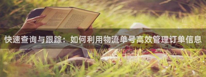 28圈娛樂官網網頁下載