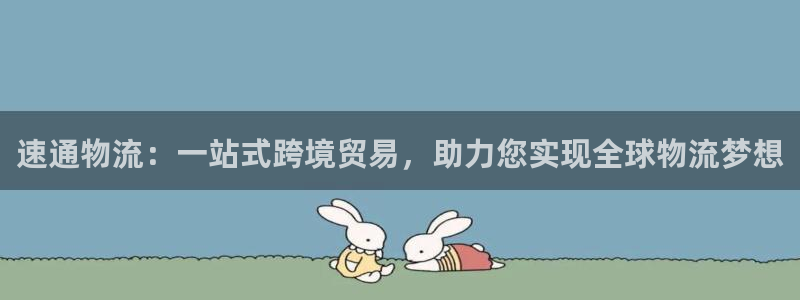 28圈犯法嗎：速通物流：一站式跨境貿