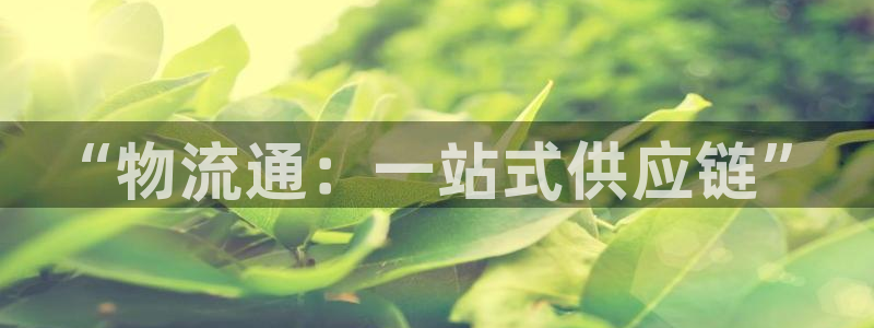 28圈注冊(cè)鏈接入口：“物流通：一站式