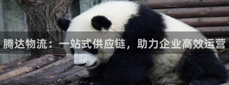 28圈模擬器在線玩