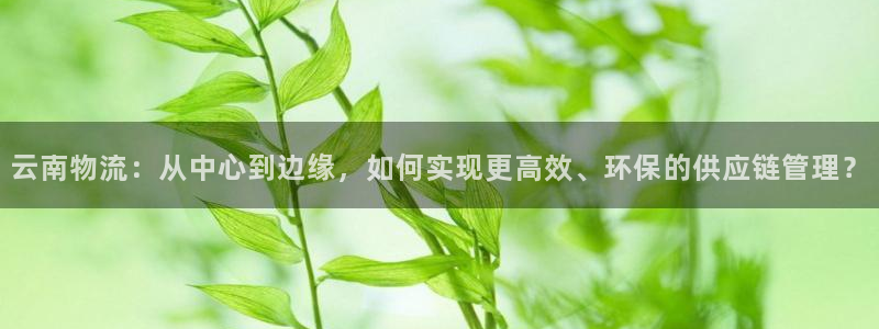 28圈加拿大2.8預測在線預測