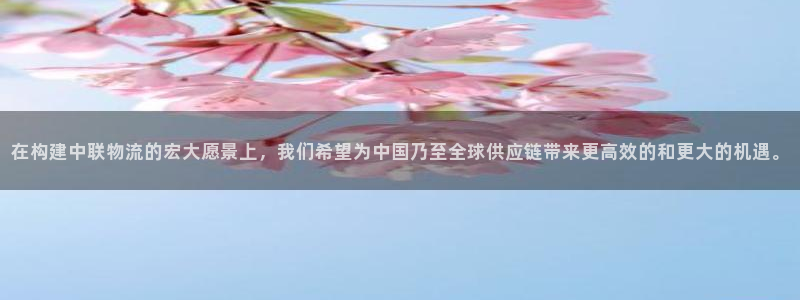 28圈充值不到賬怎么回事