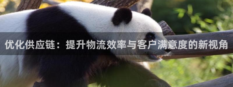 28圈.ccm:優化供應鏈:提升物流