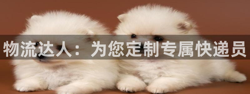 28圈加拿大能提現(xiàn)嗎