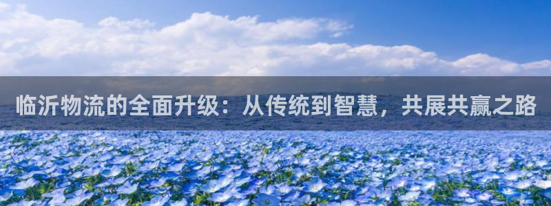 南宮28圈官網(wǎng)版：臨沂物流的全面升級