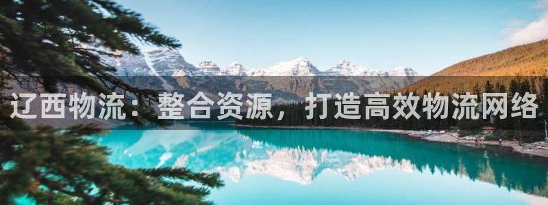 28圈注冊步驟：遼西物流：整合資源，