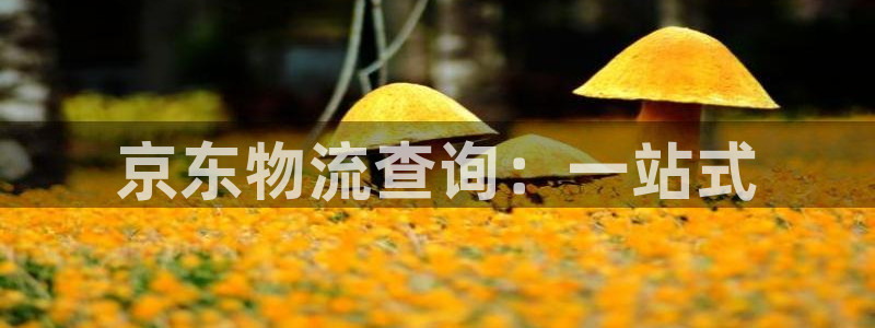 28圈麻將：京東物流查詢：一站式