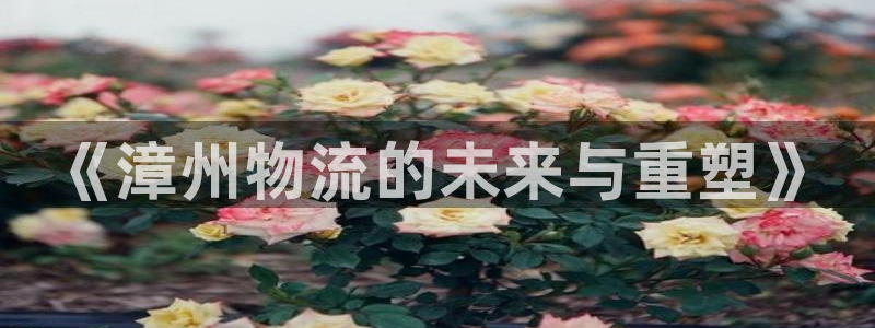 28圈客服電話：《漳州物流的未來與重