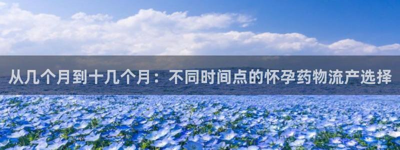 28圈軟件是什么：從幾個月到十幾個月