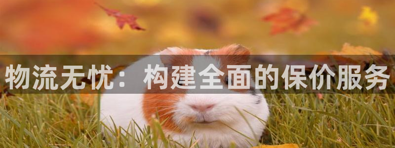 28圈官網(wǎng)開獎結(jié)果預測