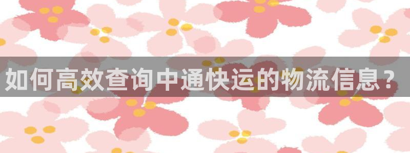 麻將128圈：如何高效查詢中通快運的