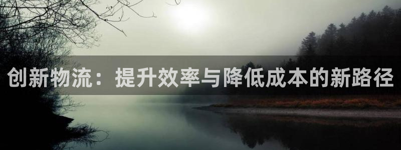 28圈加拿大是什么意思：創新物流：提