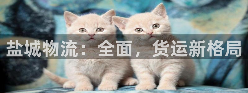 28圈吧：鹽城物流：全面，貨運新格局