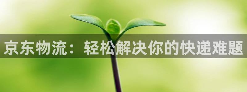 28圈入口問一問