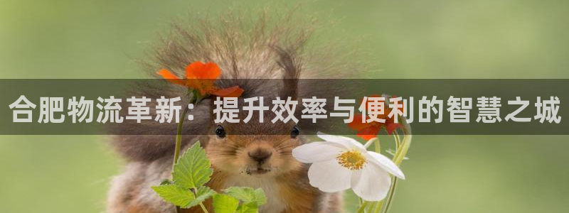 28圈游戲：合肥物流革新：提升效率與