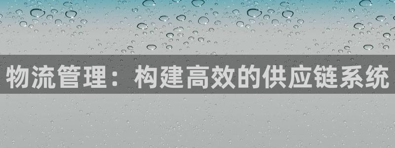 28圈官方官網版：物流管理：構建高效