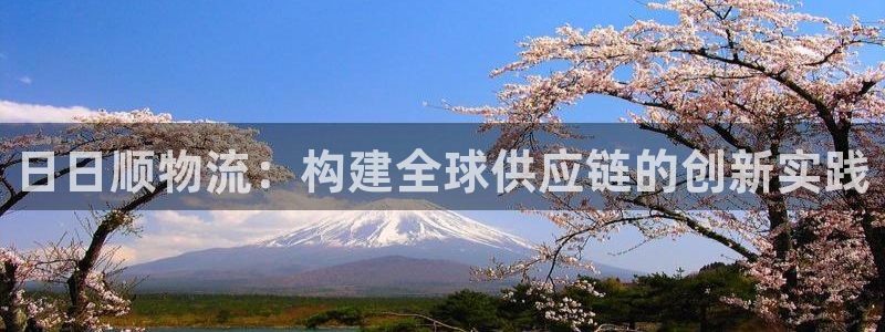 28圈比特28預測在線預測：日日順物