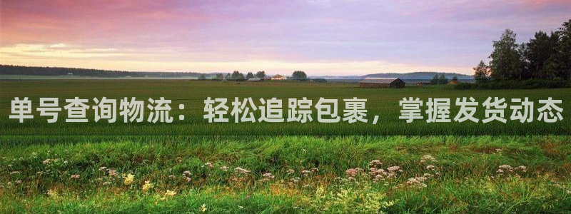 加拿大28圈數字規則：單號查詢物流：