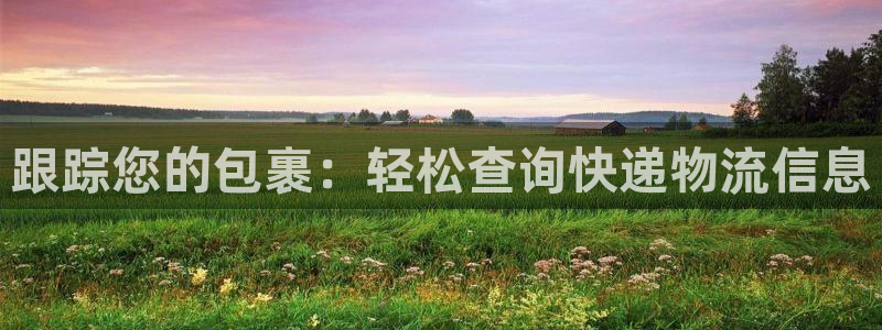 28圈注冊網站鏈接怎么弄：跟蹤您的包