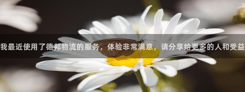 28圈客服一直不回消息怎么辦：我最近
