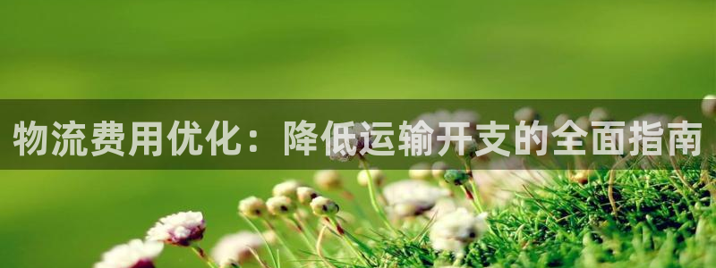 28圈輔助：物流費用優(yōu)化：降低運輸開
