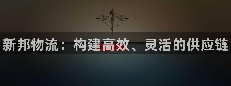 28圈初始資金密碼是什么：新邦物流：
