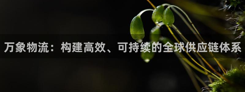 28圈怎么注冊游戲名字：萬象物流：構