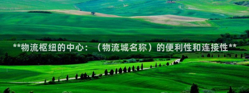 28圈游戲最新版：**物流樞紐的中心