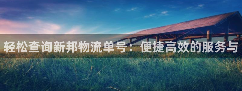 28圈p圖上分下款通道：輕松查詢新邦