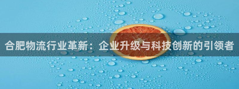 28圈退款教程：合肥物流行業革新：企