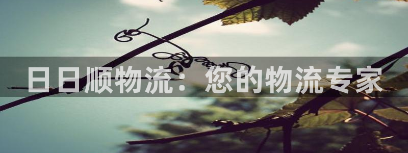 28圈官方網站預測：日日順物流：您的