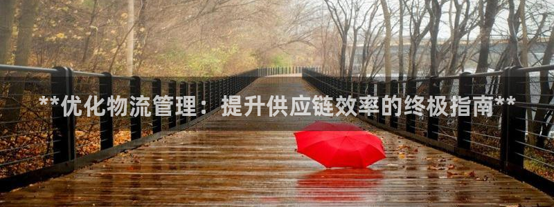 28圈注冊登錄鏈接流程：**優化物流