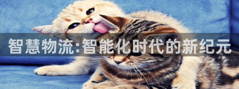 28圈推廣鏈接是多少錢一個：智慧物流