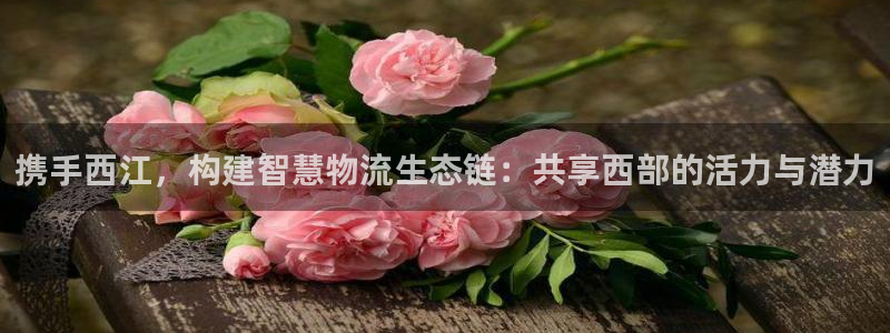 28圈是正規(guī)軟件嗎:攜手西江,構(gòu)建智