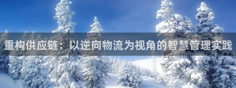 28圈注冊(cè)網(wǎng)站：重構(gòu)供應(yīng)鏈：以逆向物
