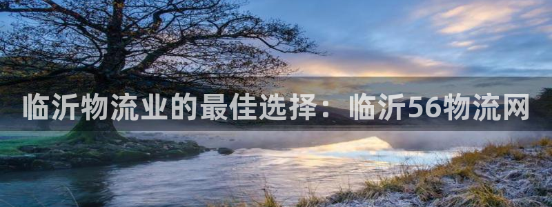 28圈自行車圖片