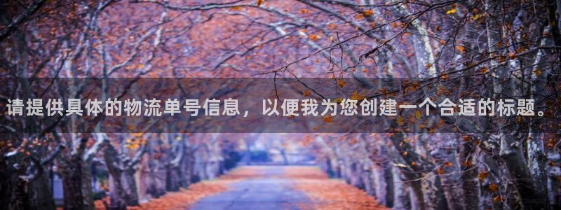 28圈模擬：請提供具體的物流單號信息