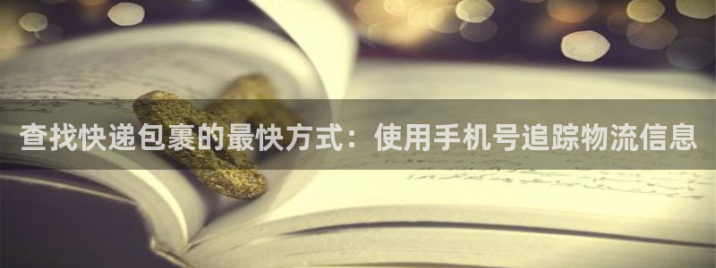 28圈模擬器下載：查找快遞包裹的最快