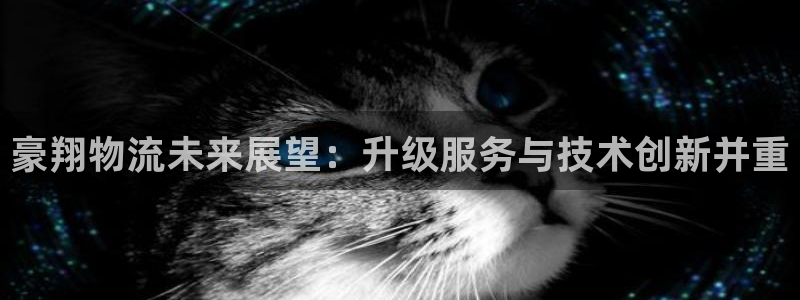 28圈和南宮28什么關系：豪翔物流未