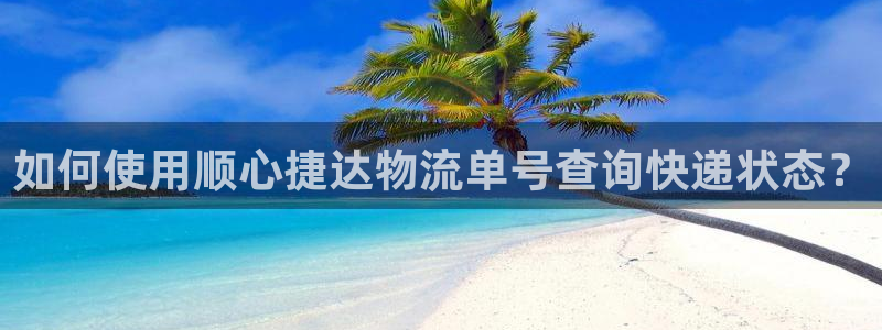 28圈可靠嗎：如何使用順心捷達(dá)物流單