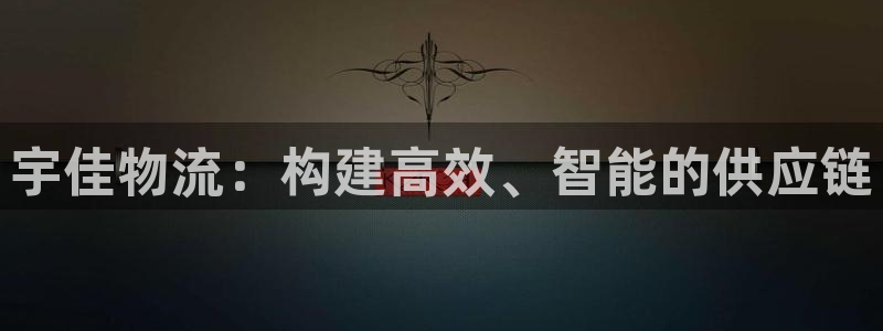 28圈下載鏈接是多少：宇佳物流：構(gòu)建