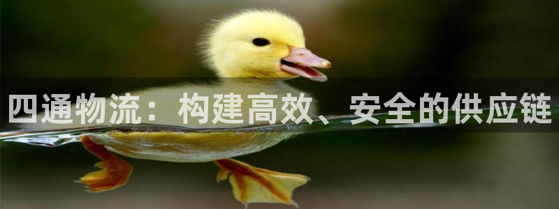 28圈注冊入口與教程