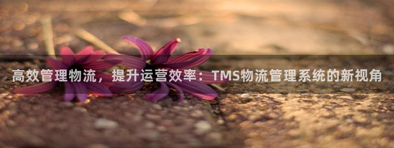 28圈是什么軟件：高效管理物流，提升