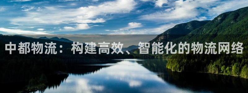 28圈最穩打法:中都物流:構建高效、