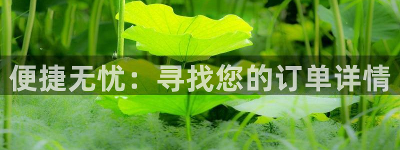 28圈注冊鏈接入口：便捷無憂：尋找您