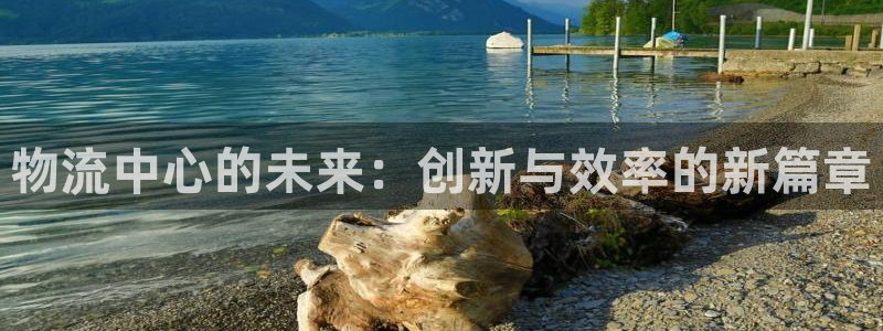 28圈客服電話：物流中心的未來：創新