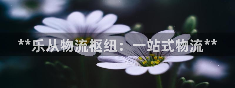 28圈app怎么注冊(cè)賬號(hào)：**樂(lè)從物